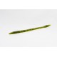 Zoom Original Trick Worm WATERMELON SEED 6.5"