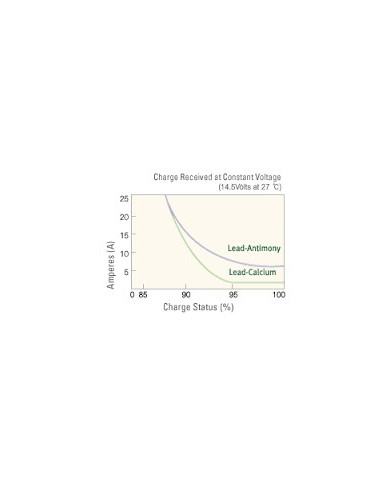 Royal Delkor DC31 100 A/H Deep Cycle Marine Battery