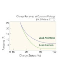 Royal Delkor DC31 100 A/H Deep Cycle Marine Battery