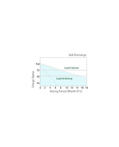 Royal Delkor DC31 100 A/H Deep Cycle Marine Battery