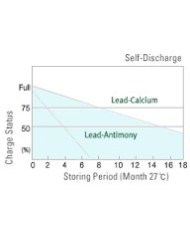 Royal Delkor DC31 100 A/H Deep Cycle Marine Battery