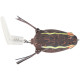 Booyah Toadrunner Frog BULLFROG 4.5"