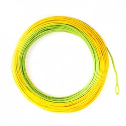 Airflo Forge Olive Sunny Yellow Floating WF5F Fly Line