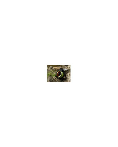 Team Dragon FX600 5-6wt Fly Reel Team Dragon FX600 5-6wt Fly Reel