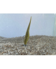 Secret Secret 3in Floating Nuke - Fluke Minnow Black Special