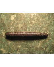 Itty's Secret Baits Fat Stix Black Special 3in  Itty's Secret Baits Fat Stix Black Special 3in