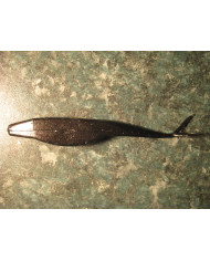 Itty's Secret Baits F100 Black 4.5in Itty's Secret Baits F100 Black 4.5in