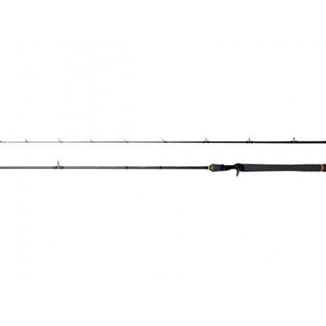 DRAGON EXCITE CAST 25  C702XF Medium Power Extra Fast Action Casting Rod