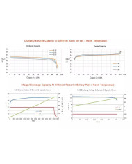 Lithtech TE12100 LIFePO4 12v 100ah Battery Pack