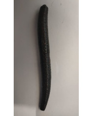Itty's Secrets Baits Fat Stix Super Salt Plus Black Red 4in Itty's Secrets Baits Fat Stix Super Salt Plus Black Red 4in
