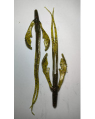 Itty's Sci-fi Craw Watermelon Red 6.5"