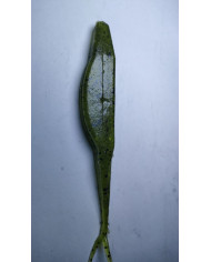 Itty's Secret Baits F100 Watermelon 4.5in Itty's Secret Baits F100 Watermelon 4.5in