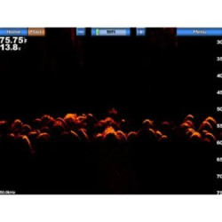 Garmin GSD™ 24 Advanced Sonar Module	