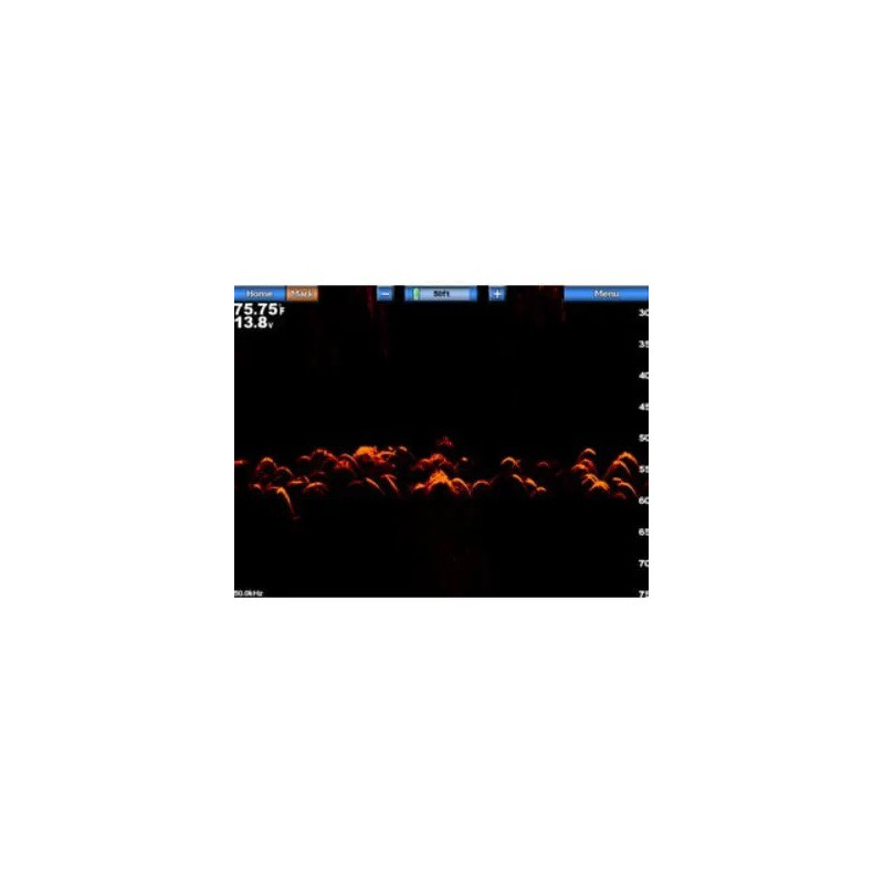 Garmin GSD™ 24 Advanced Sonar Module	