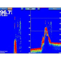 Garmin GSD™ 24 Advanced Sonar Module	