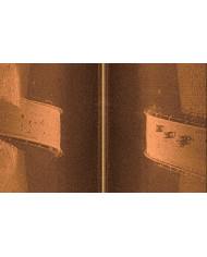 Garmin GCV™ 20 Scanning Sonar Module - Ultra High-Definition Scanning Sonar System Garmin GCV™ 20 Scanning Sonar Module - Ultra High-Definition Scanning Sonar System