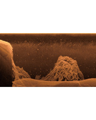 Garmin GCV™ 20 Scanning Sonar Module - Ultra High-Definition Scanning Sonar System Garmin GCV™ 20 Scanning Sonar Module - Ultra High-Definition Scanning Sonar System