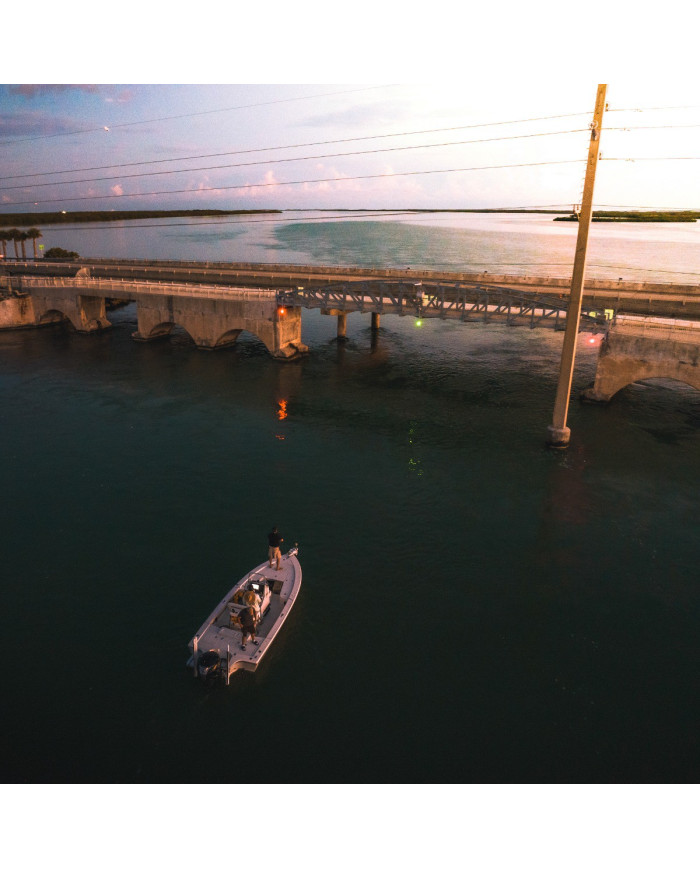 Power-Pole MOVE PV Trolling Motor Black 45 inch 24 V / 36 V