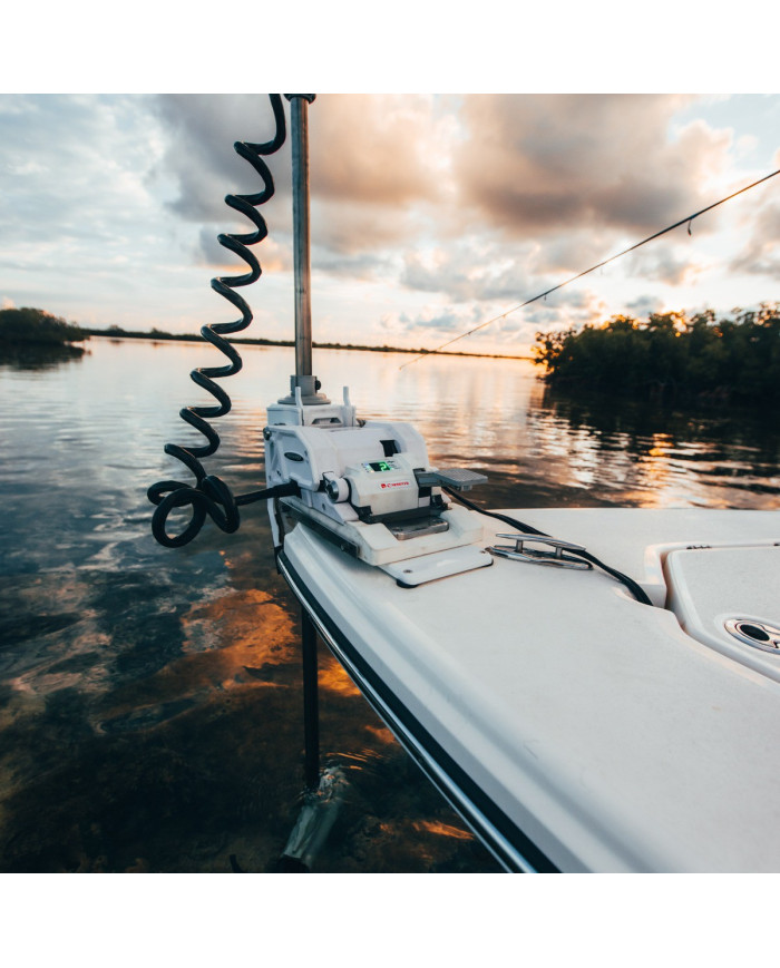 Power-Pole MOVE PV Trolling Motor Black 45 inch 24 V / 36 V