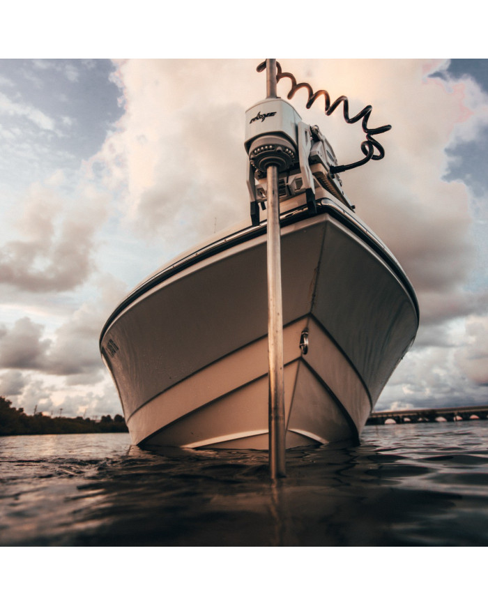 Power-Pole MOVE PV Trolling Motor Black 45 inch 24 V / 36 V