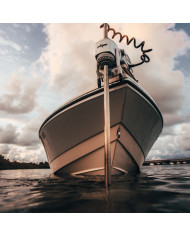 Power-Pole MOVE PV Trolling Motor Black 45 inch 24 V / 36 V