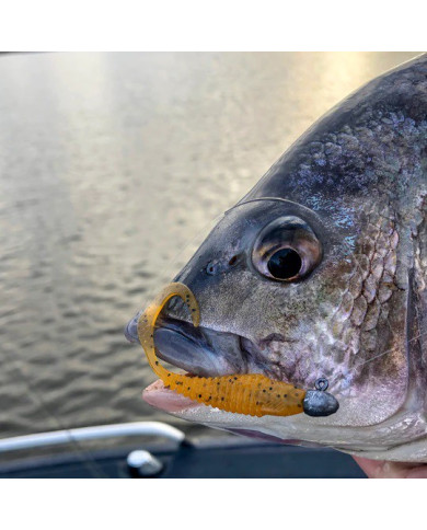 Bite Science Bunker Buster Pumpkin 6" G-tail Minnow Bite Science Bunker Buster Pumpkin 6" G-tail Minnow