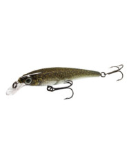 Sensation Pro Series Tiger Lure 2 SD8 Bulldog Sensation Pro Series Tiger Lure 2 SD8 Bulldog