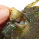 React Rigged Crab Green Pumpkin  4 1/3inx2in With 1oz Weighted 3/0 Double hook  