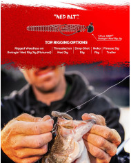 Rapala Crush City NED BLT 3in