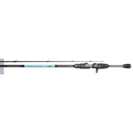 DRAGON Invader 7ft Medium Light Power Extra Fast Action 2 Piece Casting Rod