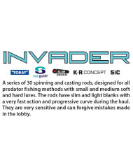 DRAGON Invader 7ft Medium Light Power Extra Fast Action 2 Piece Casting Rod
