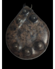 L.B. Weights Gripper Coated Specimen Lead Sinker Dark Brown 4oz  L.B. Weights Gripper Coated Specimen Lead Sinker Dark Brown 4oz