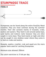 Elbe Stumpnose Trace 3pc 