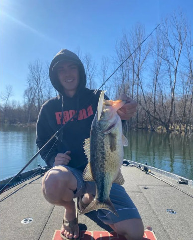Rapala PXR Mavrik 110 Emerald Shad 4 3/8in 1/2oz Rapala PXR Mavrik 110 Emerald Shad 4 3/8in 1/2oz