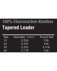 Dragon Fluorocarbon Tapered Lead 9ft 3x 6.5lb
