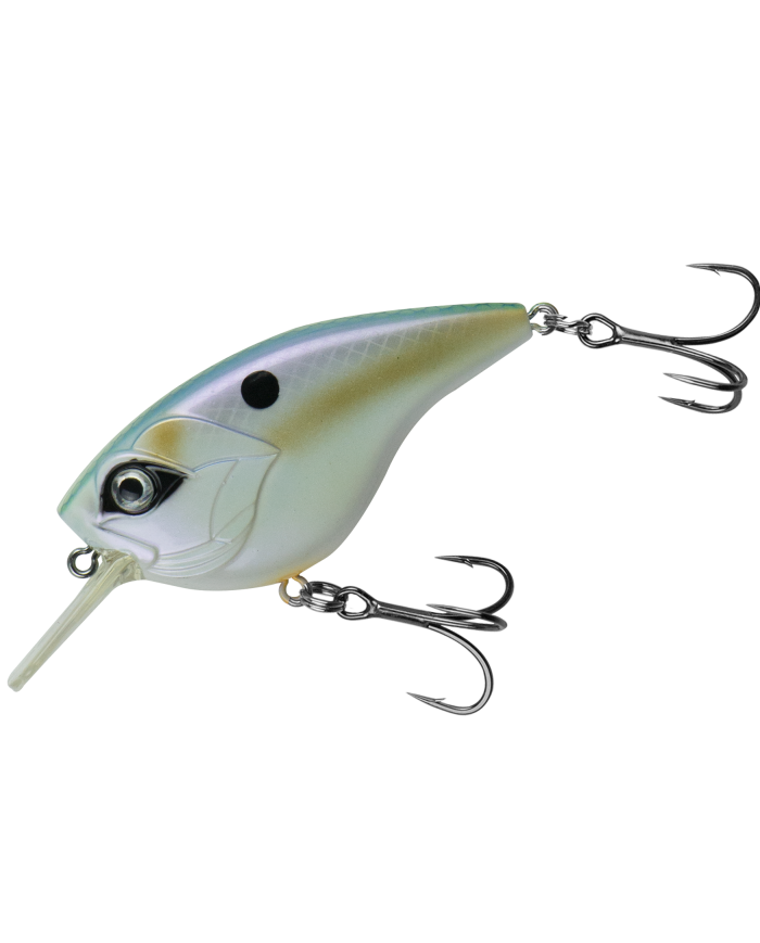 Cullem Pro Series Flat Comet Dinnerbell 65mm 5ft