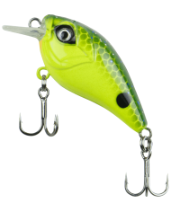 Cullem Pro Series Mini Comet Isotope 50mm 4ft