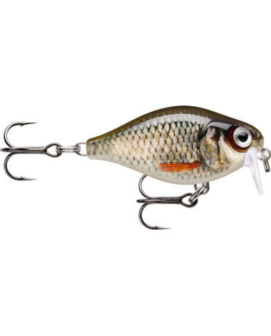 Rapala X Light Crank Shallow Runner Live Roach 1/8oz 3-4ft Rapala X Light Crank Shallow Runner Live Roach 1/8oz 3-4ft
