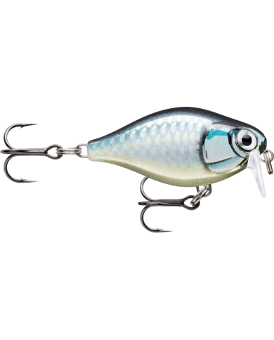 Rapala X Light Crank Shallow Runner Baby Aspius 1/8oz 3-4ft Rapala X Light Crank Shallow Runner Baby Aspius 1/8oz 3-4ft