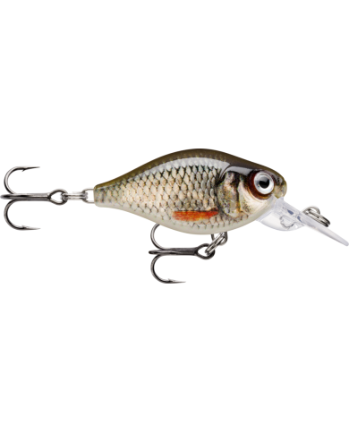 Rapala X Light Crank Mid Runner Live Roach 1/8oz 6-7ft Rapala X Light Crank Mid Runner Live Roach 1/8oz 6-7ft