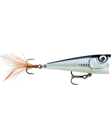 Rapala X Light Pop Baby Aspius 1/8oz Rapala X Light Pop Baby Aspius 1/8oz