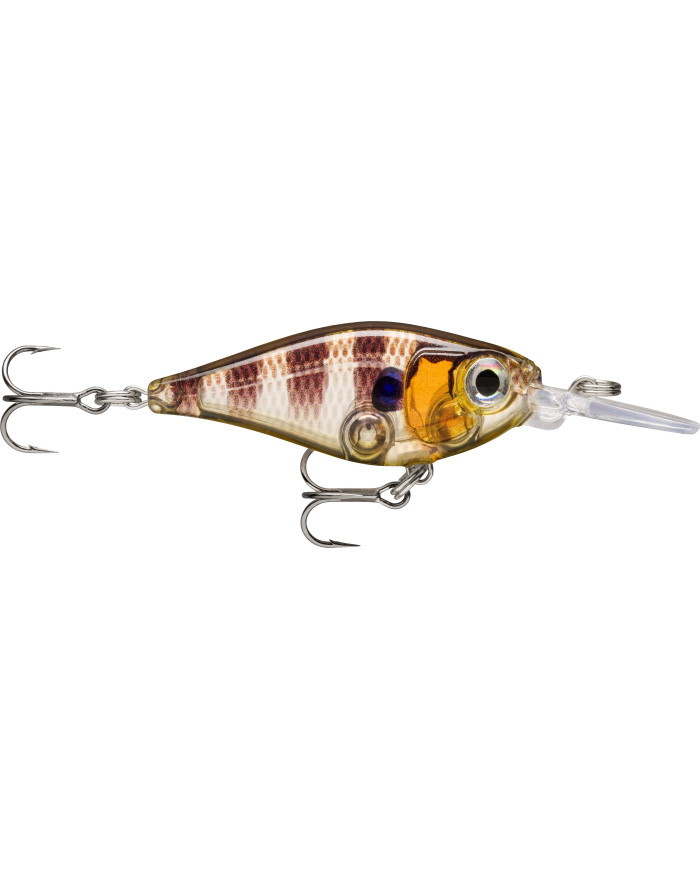 Rapala X Light Shad Glassy Gill UV 1/8oz 5ft