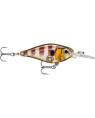 Rapala X Light Shad Glassy Gill UV 1/8oz 5ft