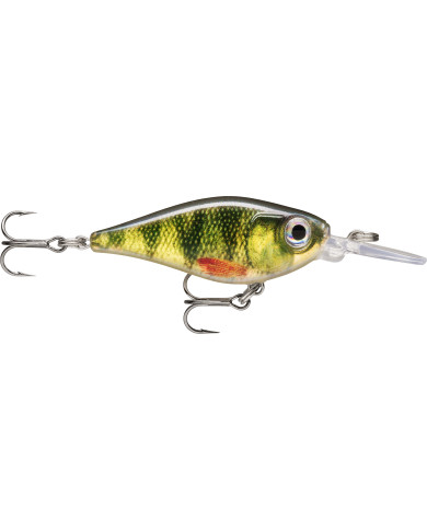 Rapala X Light Shad Live Perch 1/8oz 5ft Rapala X Light Shad Live Perch 1/8oz 5ft