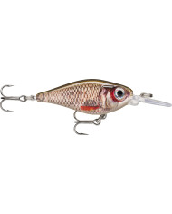 Rapala X Light Shad Live Roach 1/8oz 5ft Rapala X Light Shad Live Roach 1/8oz 5ft