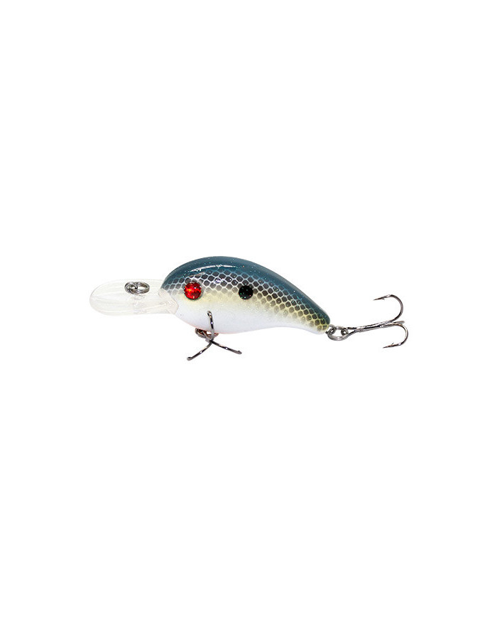 Bass.co.za Starter Kit Three - 101pc