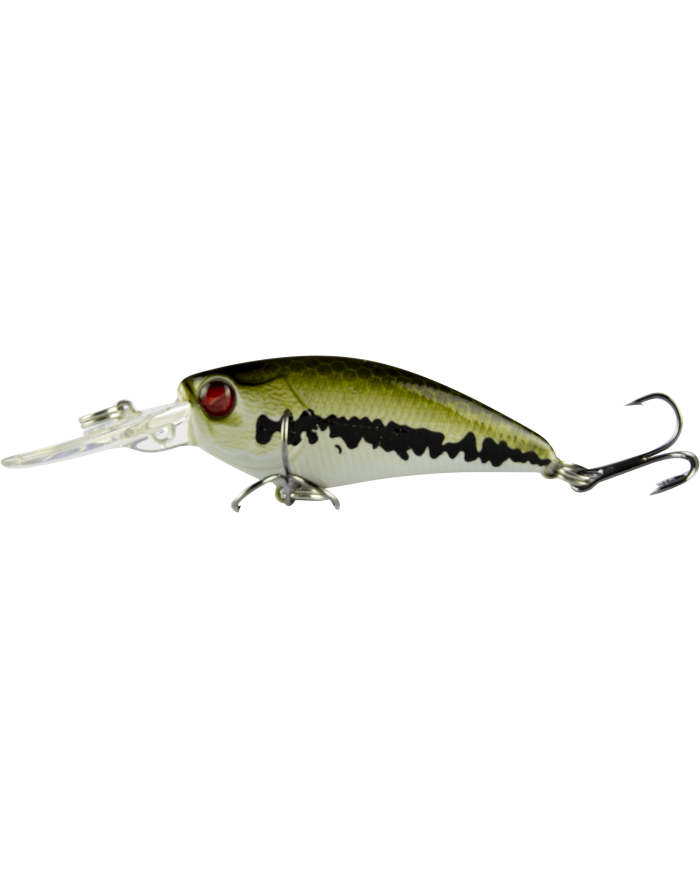 Bass.co.za Starter Kit Three - 101pc