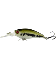 Bass.co.za Starter Kit Three - 101pc