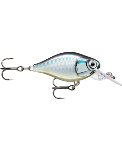 Rapala X Light Crank Mid Runner Baby Aspius 1/8oz 6-7ft Rapala X Light Crank Mid Runner Baby Aspius 1/8oz 6-7ft