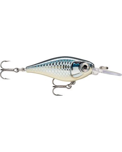Rapala X Light Shad Baby Aspius 1/8oz 5ft Rapala X Light Shad Baby Aspius 1/8oz 5ft